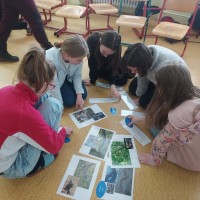 2023-02-17 Hadi ze záchranné stanice Třeboň