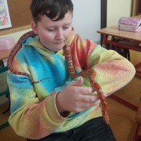 2023-02-17 Hadi ze záchranné stanice Třeboň