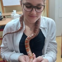 2023-02-17 Hadi ze záchranné stanice Třeboň