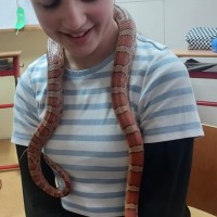 2023-02-17 Hadi ze záchranné stanice Třeboň