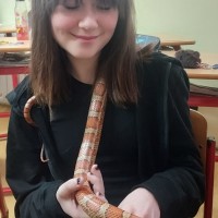 2023-02-17 Hadi ze záchranné stanice Třeboň