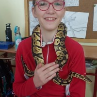 2023-02-17 Hadi ze záchranné stanice Třeboň