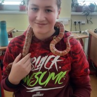 2023-02-17 Hadi ze záchranné stanice Třeboň