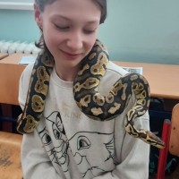 2023-02-17 Hadi ze záchranné stanice Třeboň