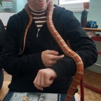 2023-02-17 Hadi ze záchranné stanice Třeboň