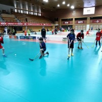 Školní florbalová ligy II České Budějovice