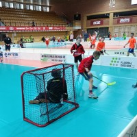 Školní florbalová ligy II České Budějovice
