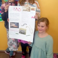 Project 3.B - obratlovci