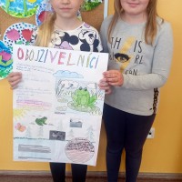 Project 3.B - obratlovci