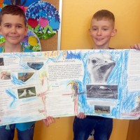 Project 3.B - obratlovci