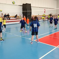 Projekt "Minivolejbal do škol"