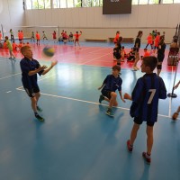 Projekt "Minivolejbal do škol"