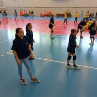 Projekt "Minivolejbal do škol"