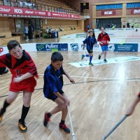 Turnaj Školní florbalové ligy II České Budějovice