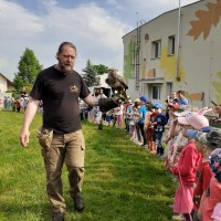 Dravci v MŠ