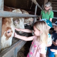 Sluníčka na farmě u Placandů