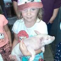 Sluníčka na farmě u Placandů
