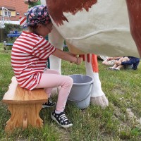Sluníčka na farmě u Placandů