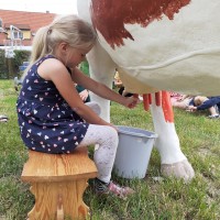 Sluníčka na farmě u Placandů