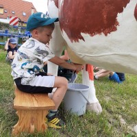 Sluníčka na farmě u Placandů