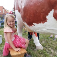 Sluníčka na farmě u Placandů