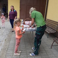 Sluníčka na farmě u Placandů
