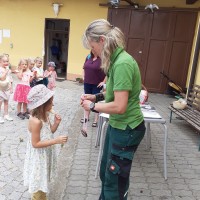 Sluníčka na farmě u Placandů