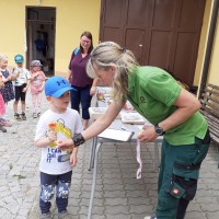 Sluníčka na farmě u Placandů