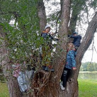 4.A - pozorování stromů ve Stromovce