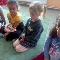 Návštěva zvířátek ze ZOO u prvňáčků