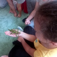 Návštěva zvířátek ze ZOO u prvňáčků