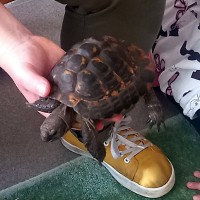 Návštěva zvířátek ze ZOO u prvňáčků