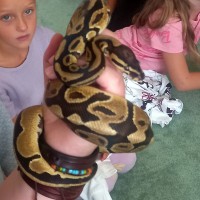 Návštěva zvířátek ze ZOO u prvňáčků