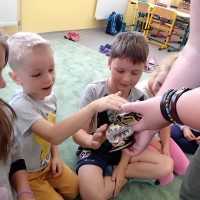 Návštěva zvířátek ze ZOO u prvňáčků