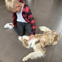 Zápis do prvních tříd