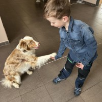 Zápis do prvních tříd
