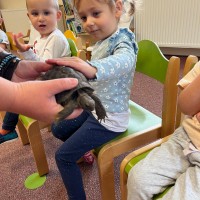 Návštěva zvířátek ze ZOO Hluboká